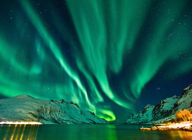 Photo shared by an Artic Safari guest